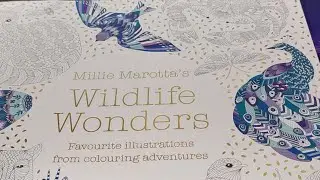 Wildlife Wonders ~ Millie Marotta
