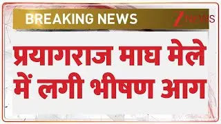 Breaking News: प्रयागराज माघ मेले में लगी भीषण आग | Magh Mela