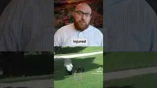 Bait bike prank lawsuit?