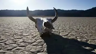 The Spectacles - Cowboy's Dream. Guitar Instrumental Rock, Official Music Video