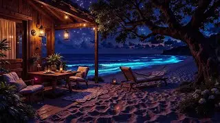 Stress Relief and Insomnia | The Sound of Ocean Helps Reduce Anxiety and Promotes Restful Sleep.