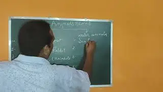 animals name( class UKG first water animal and land animal)🐙🦞🦐🐠🐟🐟🐡🐬🦘🦒🐫🐪🦓🦬🐃🐂🐄🦌🦛🦛🐕&zwj;🦺🦏🐘
