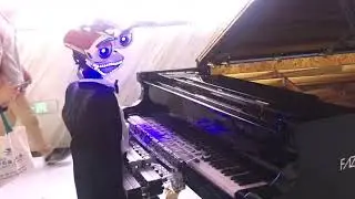 Robot-pianist Teo Tronico at #WorldRobotConference2017 in Beijing