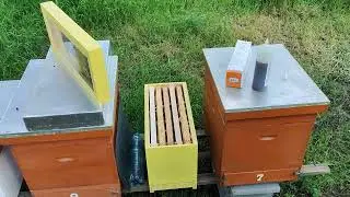 Beevital VarroMed (Original) - Lako i efikasno u borbu protiv varoe