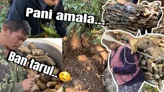 Daura tipna alxii lageyo rey..?? Pani amala hunting..!!