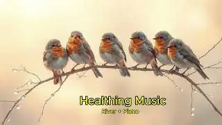Healthing Music River + Piano