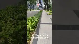 SCBD, Kawasan Paling Mewah & Tertata Rapi di Jakarta #shorts #wibikembara #enjoyjakarta