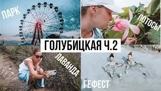 Голубицкая ч.2 | Шторм | Лотосы | Ферма Лаванды