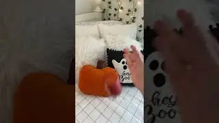 Decorated my room for Halloween! 👻🎃