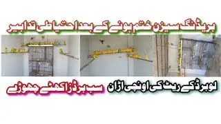 How to care your Birds in Summer Season/ Love birds colony over view/ Master cage setup