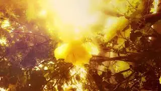 Enya - Even In The Shadows