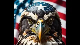 MagaMission Americas Local Legislation Precinct Members Civil Liberties and the Constitution