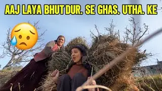 Sardiyon ke liye ghass kiya ikathaa 🥲😥|| kafi dur sw ghas la ke thk gye🥲 #rajputvarsha #viralvideo 