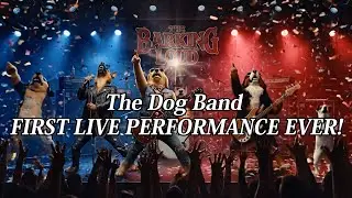 【BREAKING!】 Legendary Dog Band Makes Major Debut! First Live Show That Had All of America Howling!