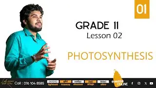 English Medium | Science | Grade 11 | Lesson 02 |Photosynthesis