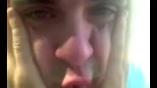 Белые медведи
