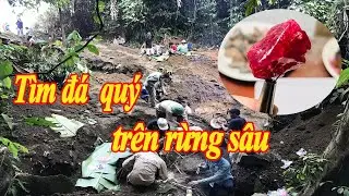 Phong HT: Khai th&aacute;c đ&aacute; qu&yacute; tr&ecirc;n rừng s&acirc;u p1 - gems hunter