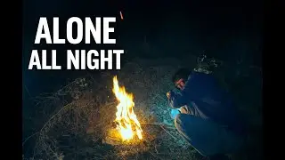 Я провел новогоднюю ночь в одиночестве в отдаленном горном лесу.