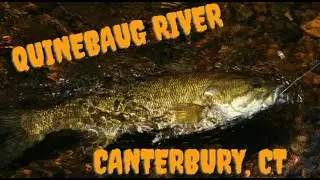 CT Fishing Adventure Quinebaug River