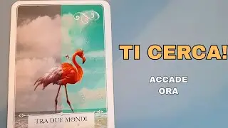 Ti Cerca Per Dirti Questo! ❤️ Accade Ora