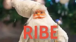 RIBE - 20.01.-31.01.