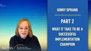 What it Takes to Be a Successful Implementation Champion || Part 2