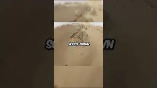 Soldiers Dominate Firefight with Heavy Firepower #usa #military #army #marines #combat #shorts
