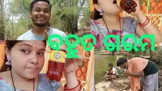 ବହୁତ ଗରମ। VLOG- 27..( @Dibyakiduniya ) #BINYOTI