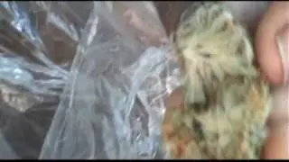 WICK CITY LIVE 2 preview SMOKE ONE
