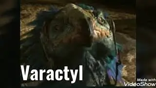 SW Varactyl