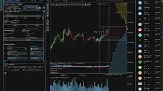 How to use margin maker strategy in 'margin'