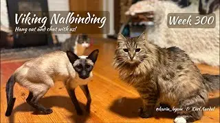 Viking Nalbinding with Karin & Karl; Week 300!!