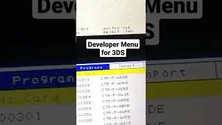 Developer Menu for 3DS #fypageシ #viral #foryou #trending #foru #fypシ #foryoupage #nintendo