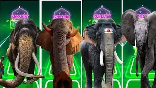 Tiles Hop - Elephant 🆚 Mammoth 🆚 Funny Elephant 🆚 Elephant 🎶 Tiles Hop EDM Rush