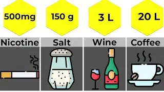 Comparison: Deadly Amount of Food (Lethal Dose)
