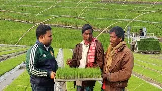 ধানের চারা রোপনের মেশিন ।।ধান লাগানো মেশিন ।। ট্রান্সপ্লান্টার মেশিনের সুবিধা (Rice Trans-planter)