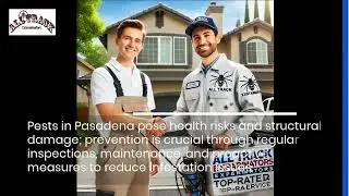 Expert Pest Control Services and Best Companies in Pasadena