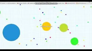 Play agar.io and petry dish !!!