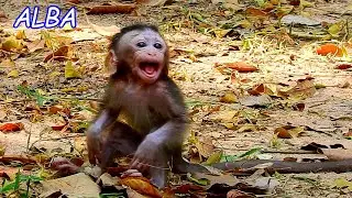 ALBA cry lost mom ANNA, ALBA scares and calls mom | Baby ALBA Cry so Loudly that so Pities