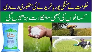 Urea |Urea Fertilizer|Organic Fertilizer | Engro Urea Fertilizer rate update 2022 | 2023 Price