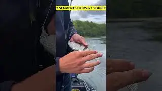 Spro Swimbait 80 : Le R&eacute;alisme &agrave; l'&Eacute;tat Pur