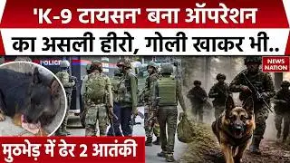 Kishtwar Encounter: J&K में Operation Trashi-1 में K-9 Tyson बना असली हीरो | Jaish Terrorist Killed