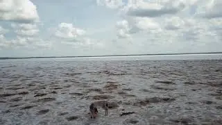 Salt Plains Selenite Crystal Dig Site