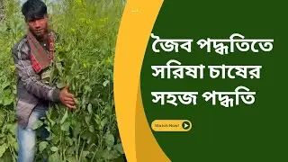Mustard farming methods. Mustard farming tips | #agricultire #mustardfarming