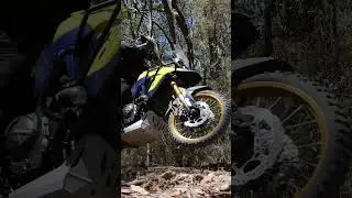 Suzuki&rsquo;s ultra surprising V-Strom 800DE review is on our channel now ✊🏻 #suzuki #vstrom #adventure