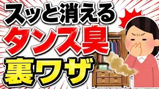【タンス臭の正体】カビではなく&ldquo;あなたの◯◯&rdquo;かも!?【3分でわかる健康科学】