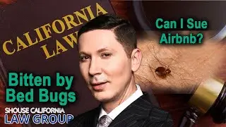 Can I sue Airbnb if I was bitten by bed bugs during a stay?
