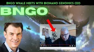 BNGO CEO meets BNGO Whale, bionano genomics, genomics market