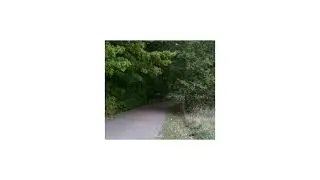 free *no drums* slowcore + dandelion hands type beat - 