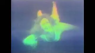 'Anait - Dancing with Light Waves' - 360 multiplex holograms by Anait Stephens